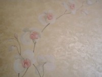 /album/fotogaljerjeja%3a-nast%d1%96nnij-rozpis/pa187573-jpg/